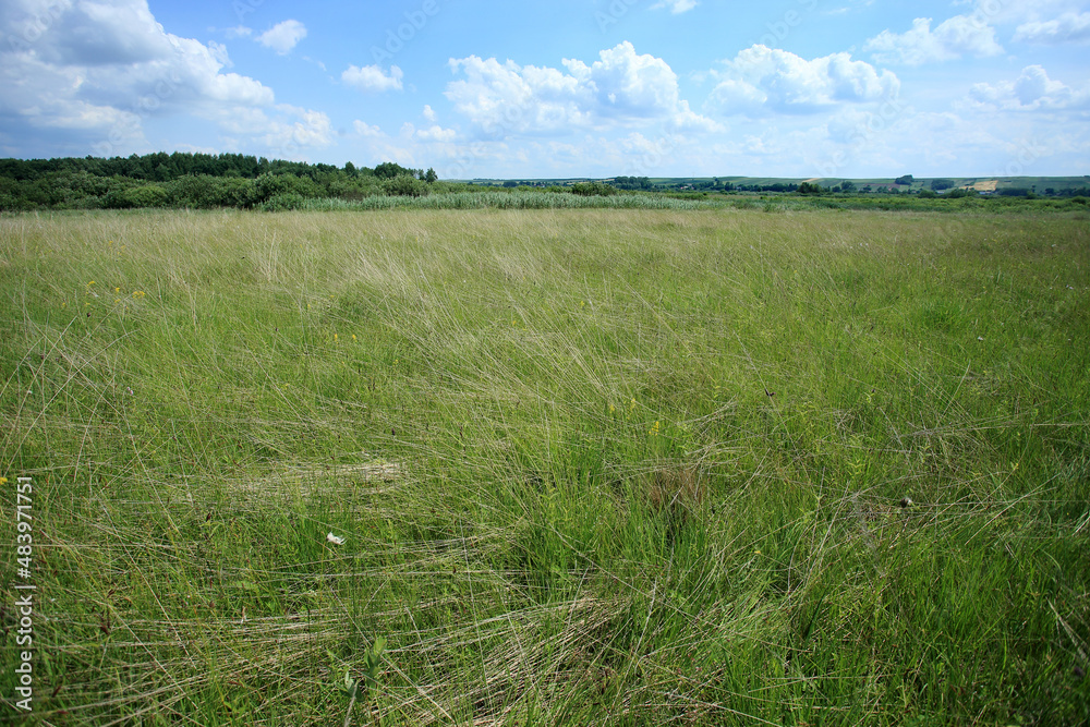 The calcaleorus fens in Sieniocha River Valley (Lublin region, Poland).