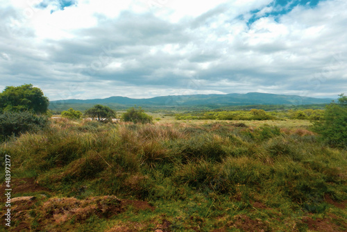 Scenic field against sky in the moorland ecological zone of Aberdare National Park, Kenya 