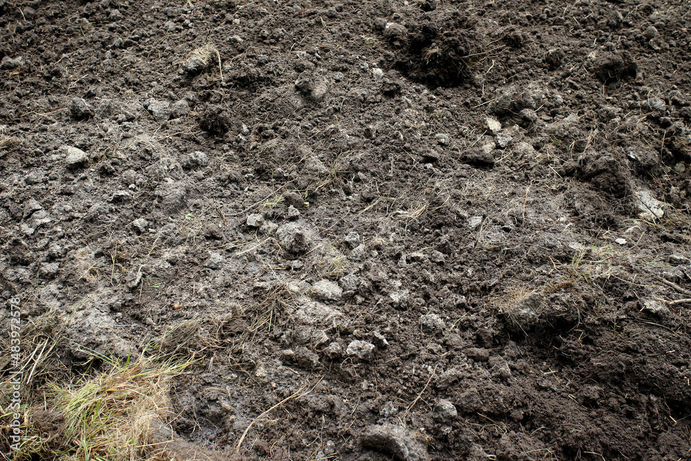 Soil in a plowed field (eastern Poland, near Slawatycze)