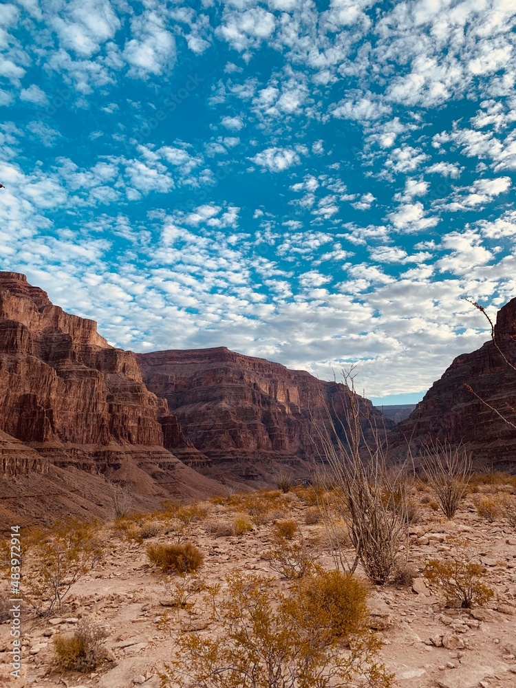 Fototapeta premium Blick aus dem Grand Canyon