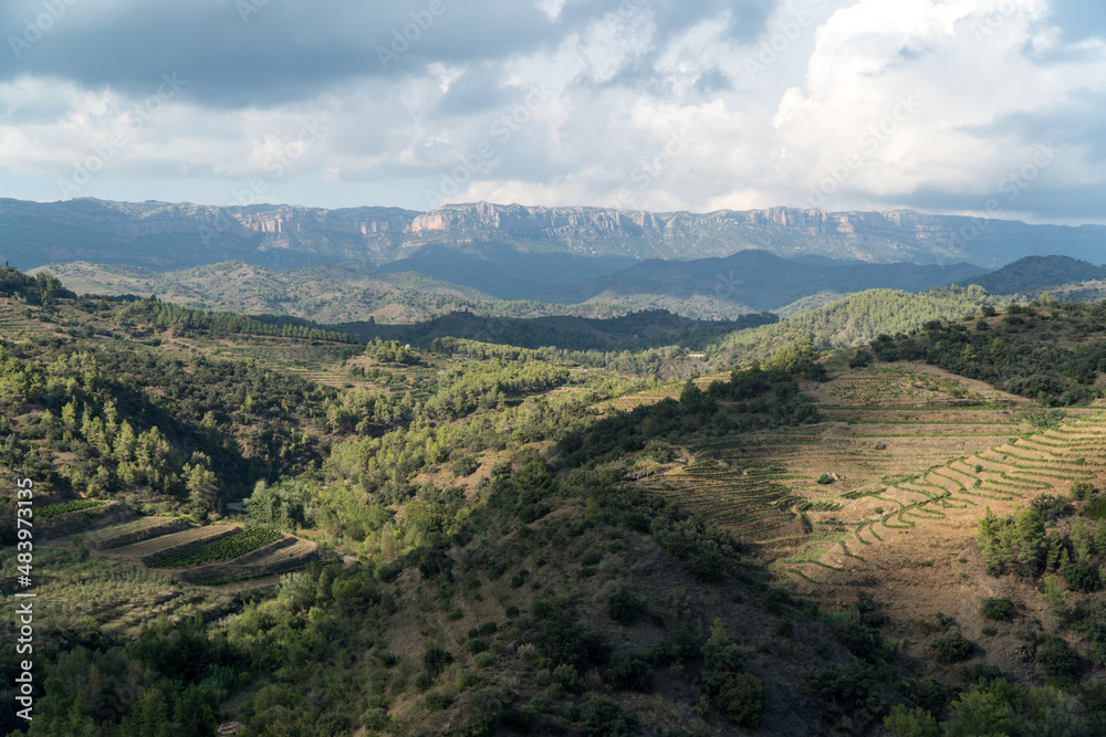 Views of the Priorat mountains with Gratallops and the Montsant mountain range in the background.