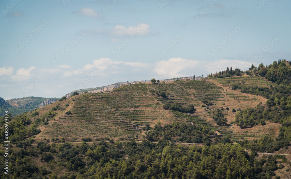 Montsant mountain range views.

Priorat, Catalonia (Spain).