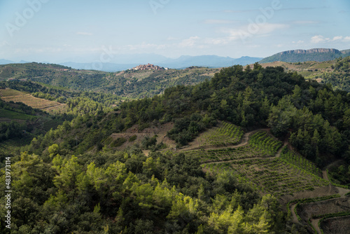 Views of the Priorat mountains with Gratallops and the Montsant mountain range in the background.   Gratallops, Priorat (Catalonia, Spain). © Manel Vinuesa
