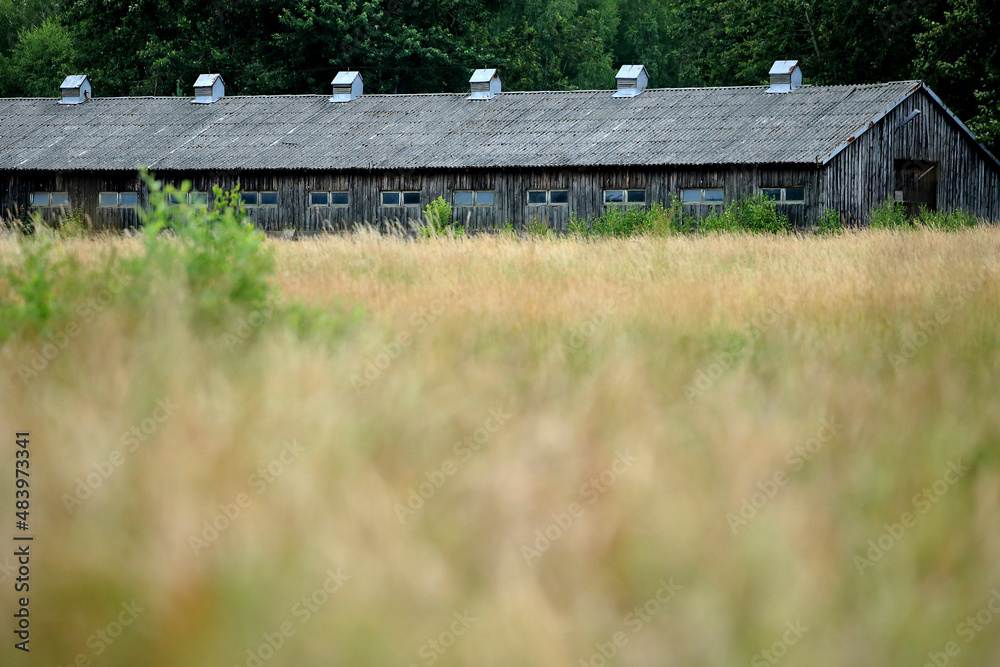 An old barn by meadows in the Kuyavian-Pomeranian Voivodeship
