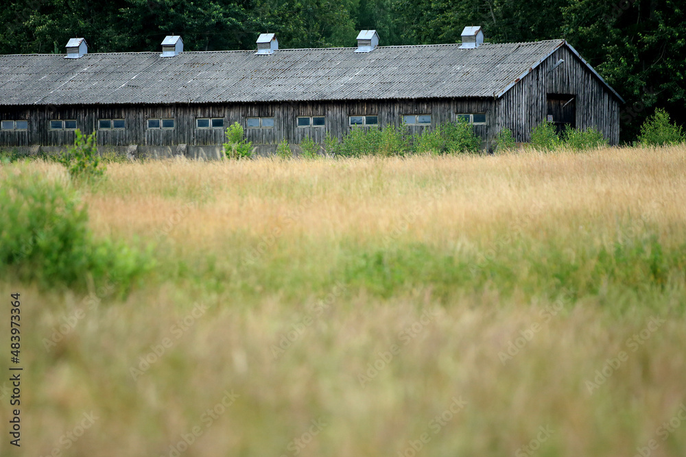 An old barn by meadows in the Kuyavian-Pomeranian Voivodeship