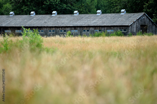 Obraz na płótnie An old barn by meadows in the Kuyavian-Pomeranian Voivodeship w salonie