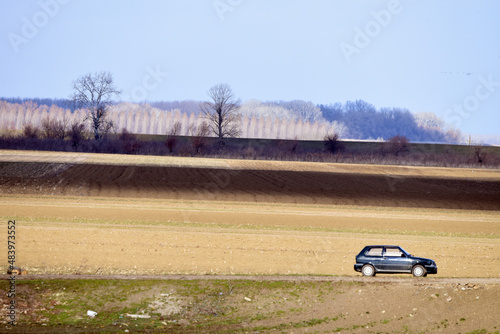 Car on the road in the field. photo