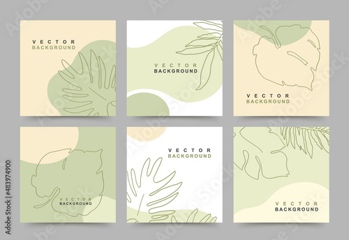 Simple square card templates. Backgrounds with minimal tropical leaves in line art style. Social media post in neutral colors.Vector illustration for posters, invitation, banners, mobile apps, web ads