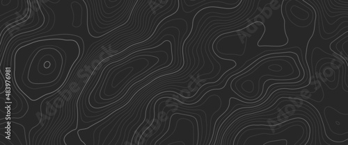 Topographic map lines, contour background. Geographic abstract grid. EPS 10 vector illustration, Vector illustration of topographic line contour map, black-white design, Luxury black abstract line art