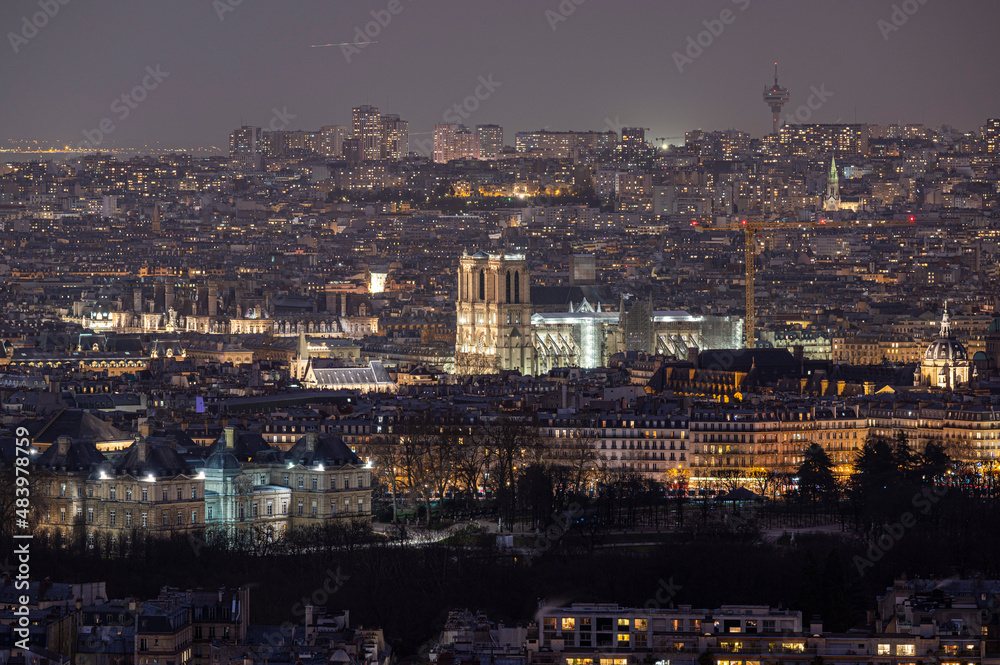 Notre Dame de Paris de nuit, vue panoramique