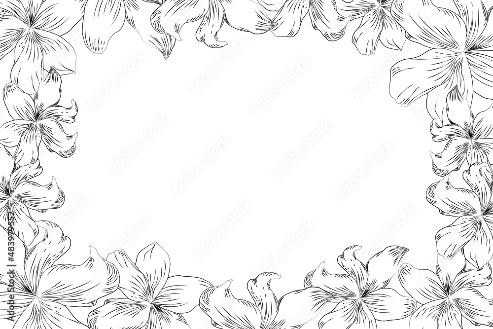 Frame with decorative vector lilies, frame of flowers, frame vector