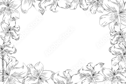 Frame with decorative vector lilies, frame of flowers, frame vector