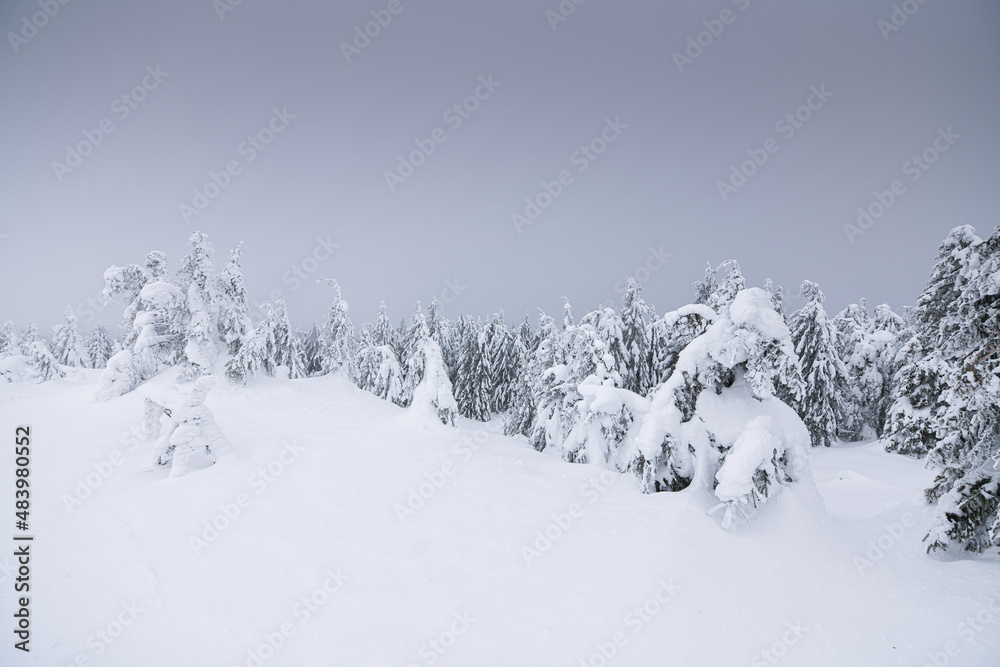 Frozen winter landscape on top of the mountains. Trees are covered in snow after massive snowfall and powerful blizzard. Nature photography. Frozen winter landscape on top of the mountains. Trees are covered in snow after massive snowfall and powerful blizzard. Nature photography.
