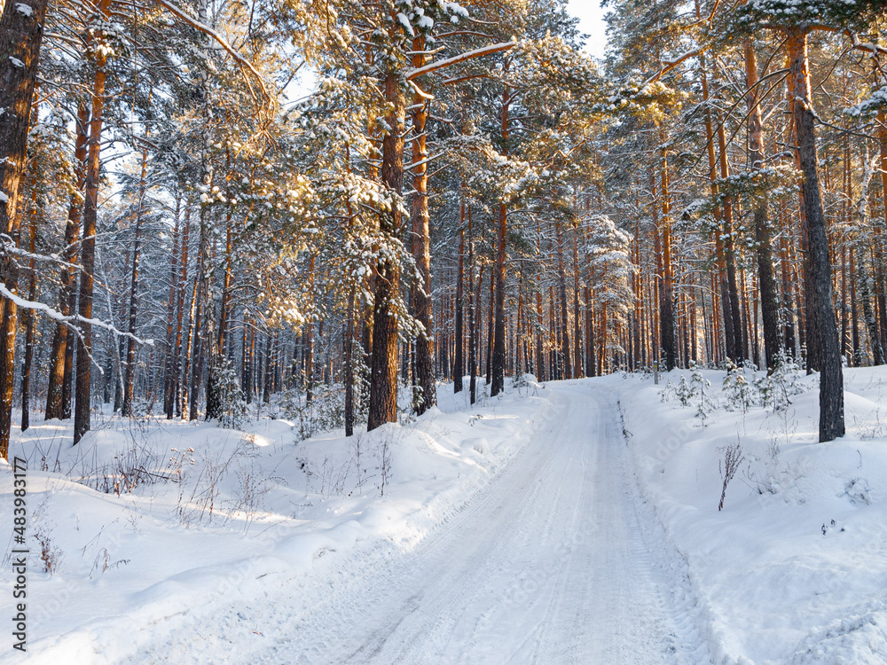 Fototapeta premium Winter landscape in Central Siberia
