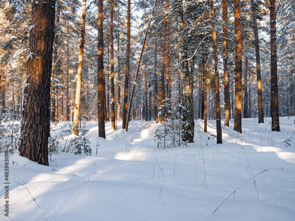 Winter landscape in Central Siberia