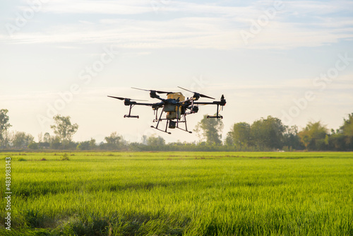 Agriculture drone flying and spraying fertilizer and pesticide over farmland,High technology innovations and smart farming