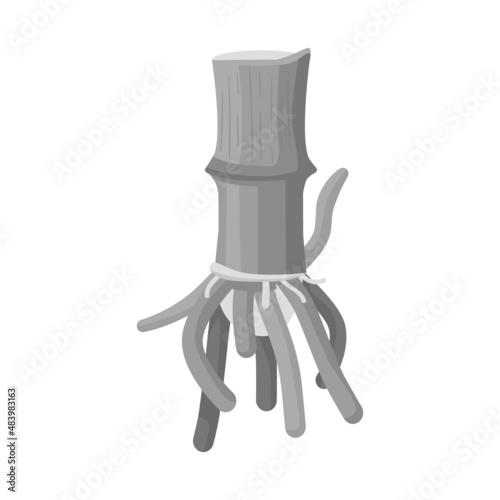Vector illustration of root and sugar logo. Set of root and cane stock vector illustration.