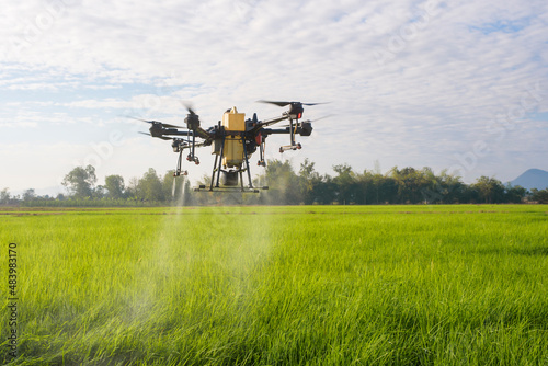 Agriculture drone flying and spraying fertilizer and pesticide over farmland,High technology innovations and smart farming