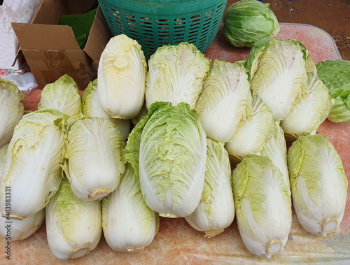 Chinese cabbage is grown on organic farms and sold at stalls in rural villages. It is a vegetable in the cruciferous family. Scientific name: Brassica chinensis (L.) Jusl. is a high fiber vegetable.
 photo