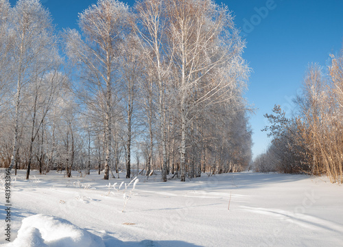 Winter landscape in Central Siberia