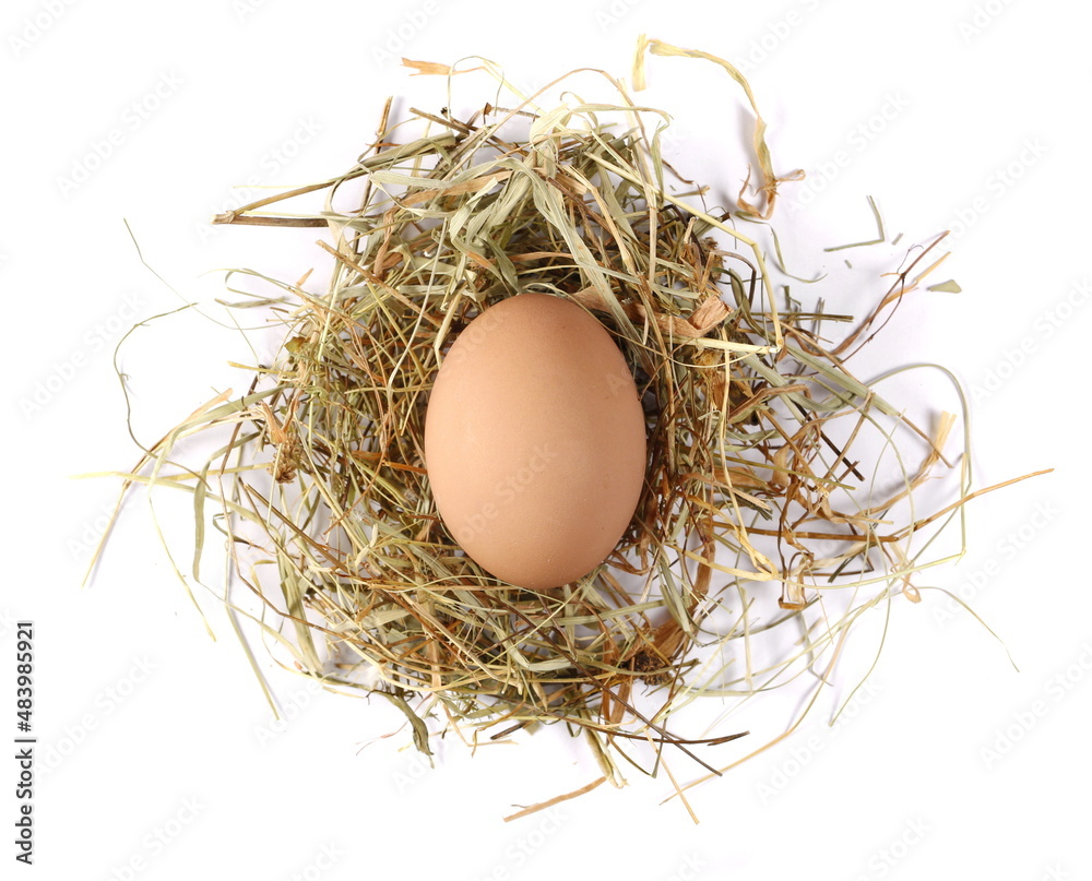 Egg in nest isolated on white, top view Egg in nest isolated on white, top view