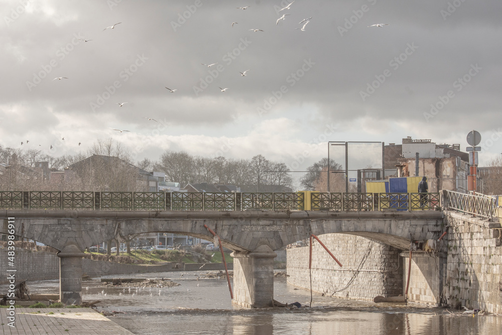 Verviers: Möwen an einen Fluss