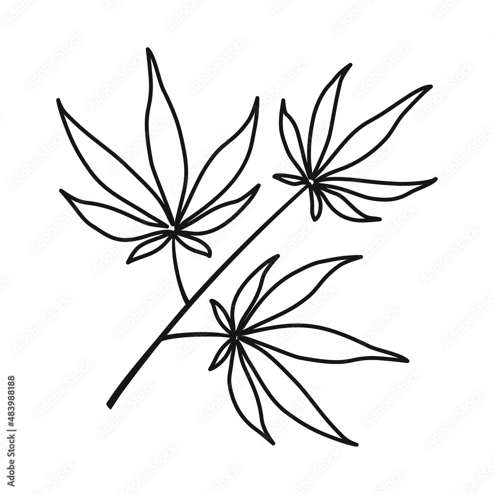 Vector illustration of marijuana and leaf symbol. Graphic of marijuana and vegetation vector icon for stock. Vector illustration of marijuana and leaf symbol. Graphic of marijuana and vegetation vector icon for stock.