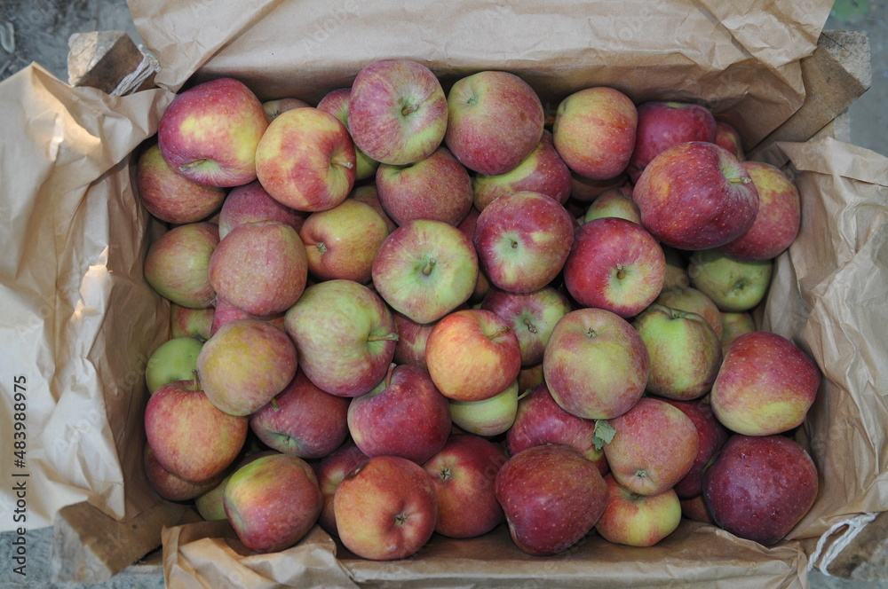 A case of fresh red apples. A case of fresh red apples.