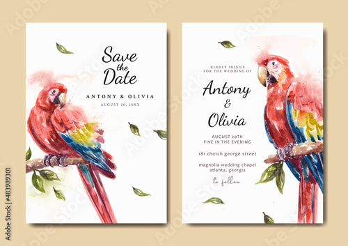 Wedding invitation with beautiful scarlet macaw parrot watercolor