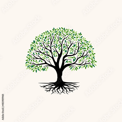 tree logo design for health or education