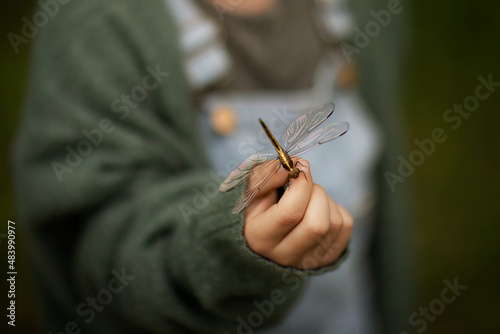 close up of a little boy holding a dragonfly