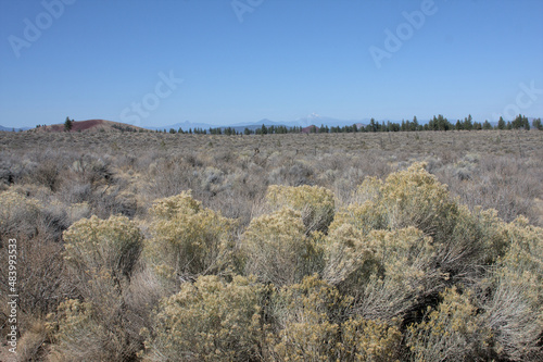 Obraz na płótnie Sage Brush in Oregon high desert 2021,
Outside Boyd Cave near Bend, Oregon. w salonie