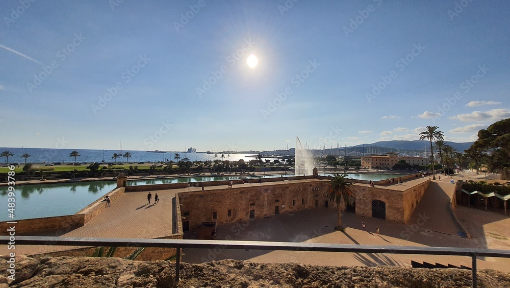 Fototapeta premium palma di majorca