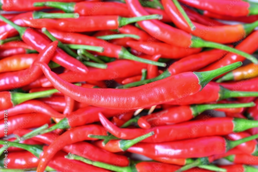 red hot peppers close-up background