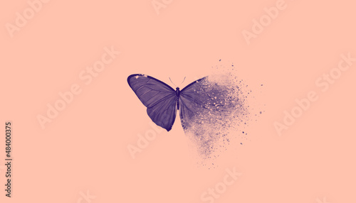 Digital Transformation Banner. Dispersed Butterfly on Pink Background.