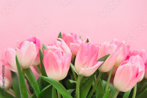 Beautiful bouquet of pink tulips. Soft focus. Greeting card for Women's Day. 