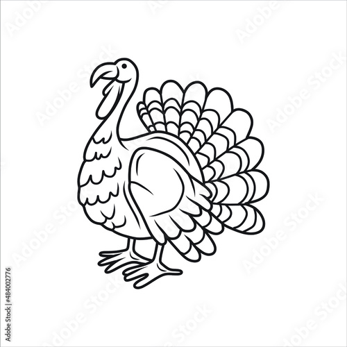 Ostriches bird sketch black and white
