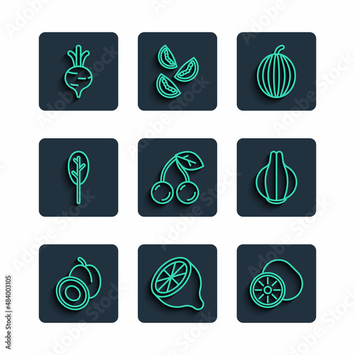Set line Plum fruit, Lemon, Kiwi, Watermelon, Cherry, Spinach, Beet and Onion icon. Vector