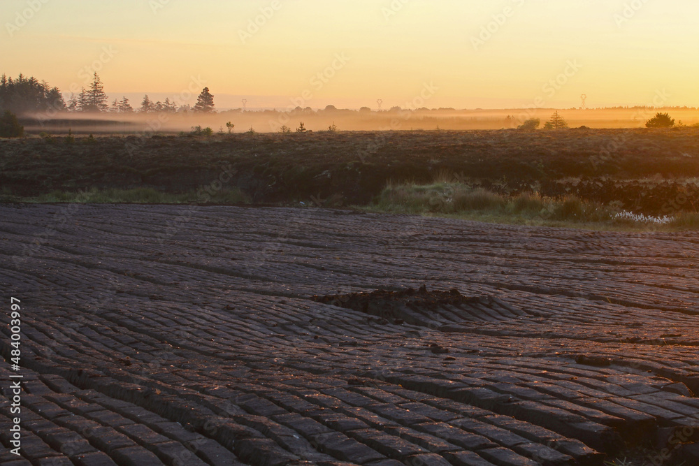 peat turf laid out to dry in summer morning , ireland