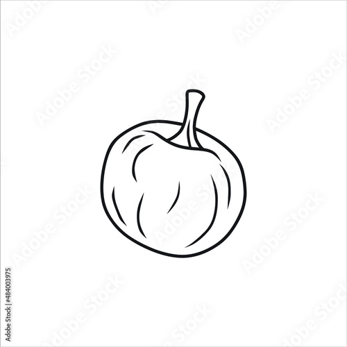 illustration of an apple