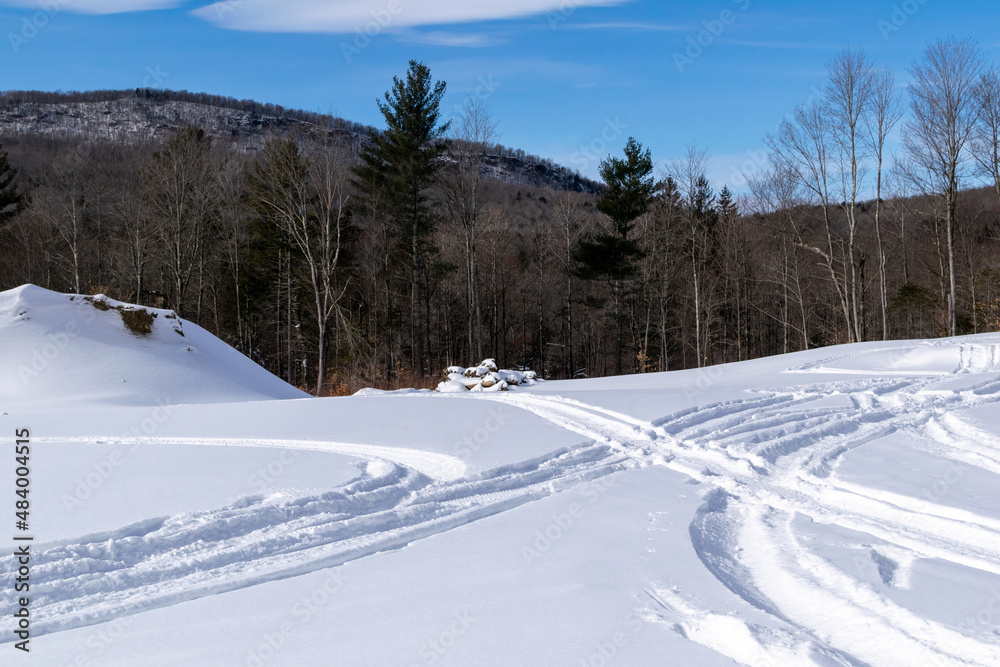 Snowmobile trail in the field