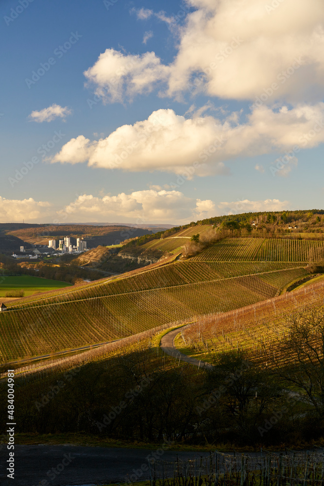Fototapeta Landschaft und Weinberge zwischen Himmelstadt am Main und Stetten mit Blick in das Maintal am Abend, Landkreis Main-Spessart, Unterfranken, Bayern, Deutschland