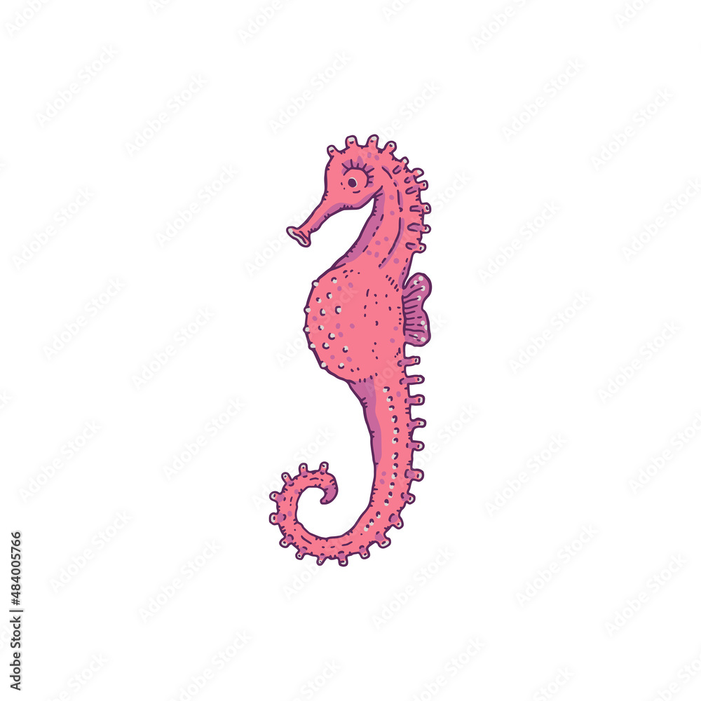 Obraz premium Seahorse pink. Vector wild ocean animal underwater life doodle line isolated illustration.