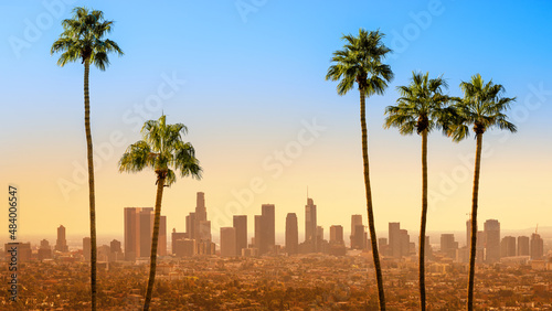 Canvas Print the skyline of los angeles with palm trees