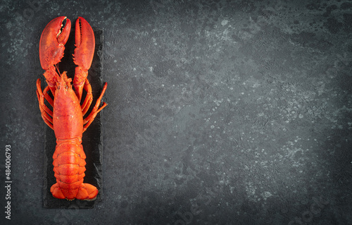 Prepared red lobster on dark concrete stone background. Top view, copy space