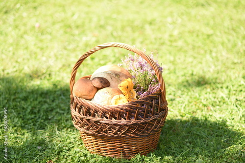 Basket with mushrooms on the grass. porcini mushrooms, boletus and chanterelles in the basket 