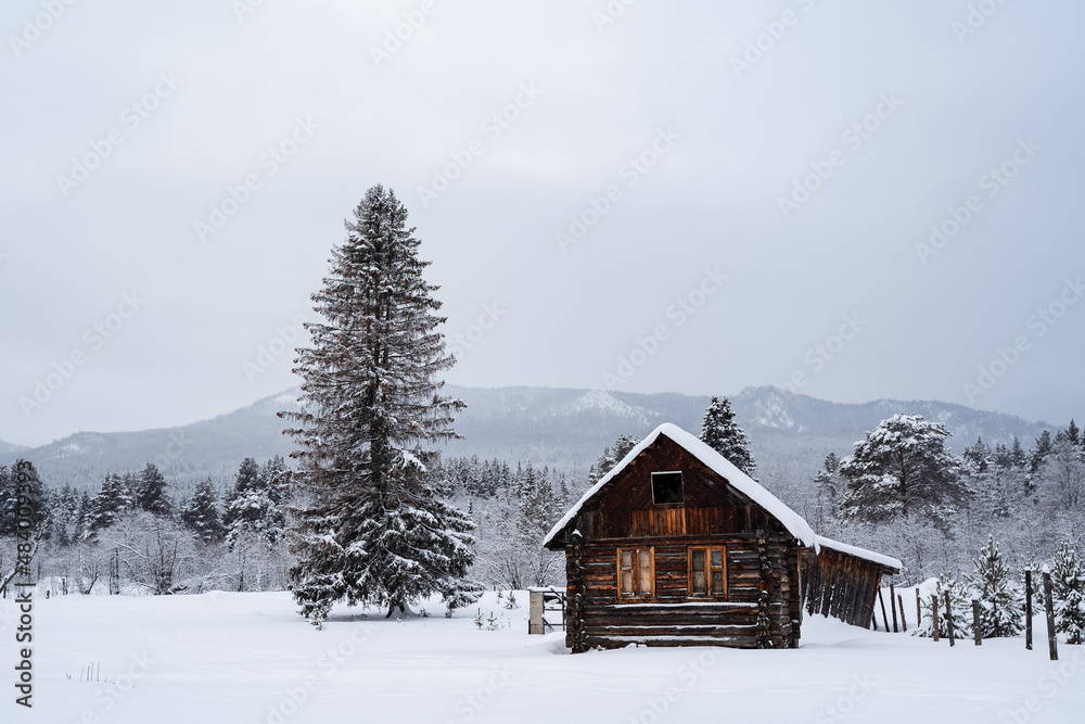An old forester's house. Winter forest landscapes. A large tree near by. In the background of the mountain. The only house in the middle of a field.