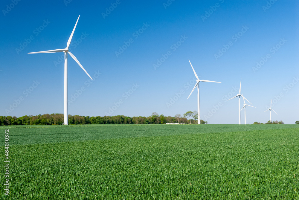 Parc éolien des Monts Bergerons dans la Somme..6 éoliennes de 2 mégawatts. Champ de colza en fleur au 1er plann