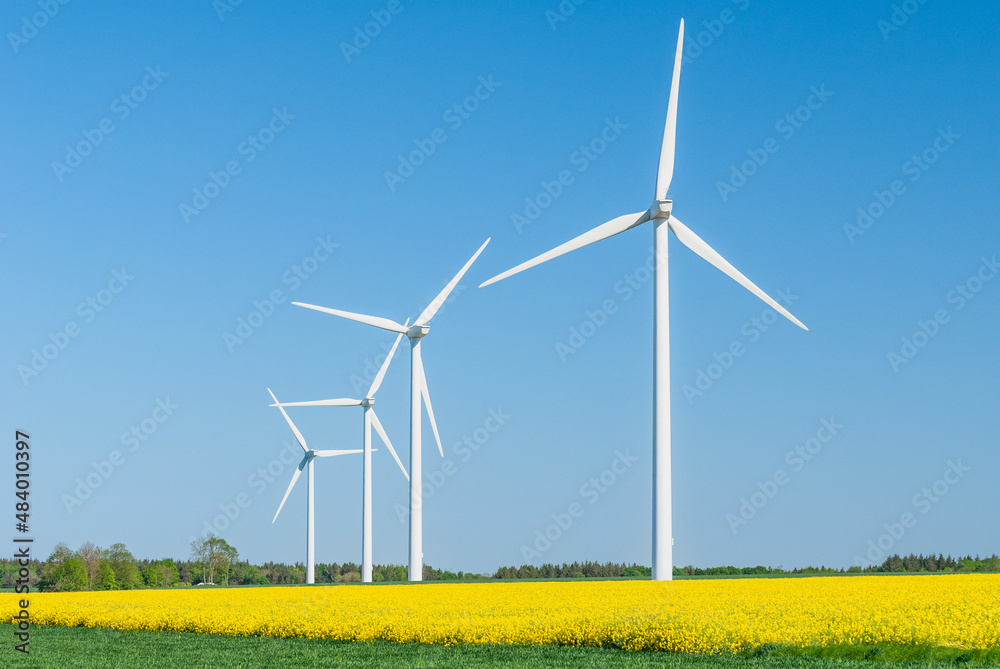 Parc éolien des Monts Bergerons dans la Somme..6 éoliennes de 2 mégawatts. Champ de colza en fleur au 1er plan Parc éolien des Monts Bergerons dans la Somme..6 éoliennes de 2 mégawatts. Champ de colza en fleur au 1er plan