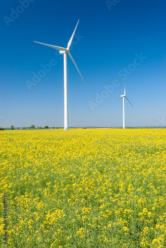 Parc éolien des Monts Bergerons dans la Somme..6 éoliennes de 2 mégawatts. Champ de colza en fleur au 1er plan © S. Leitenberger
